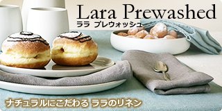 �ʥ�����ˤ��������Υ�ͥ�