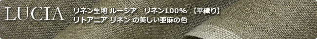 ��ͥ� 100%����ͥ����ϡ��롼�������ʥ�����